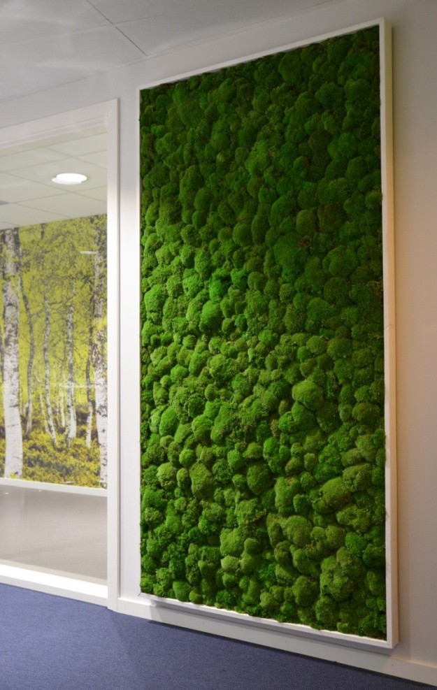 Indoor moss wall in an office space